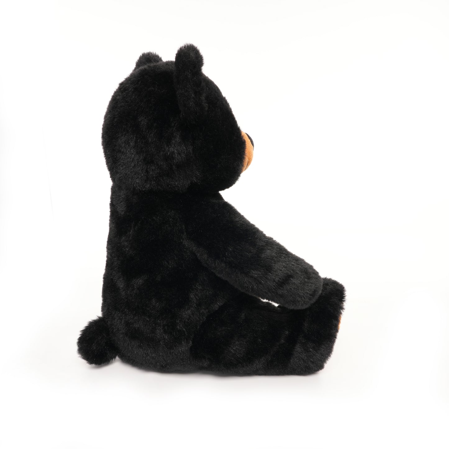 Big Black Bear Cozzy And Warm