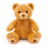 Adorable Orange Plush Bear